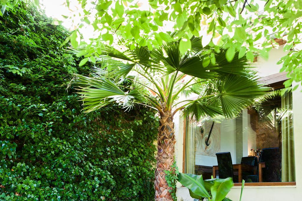 Posada Sotobosque Santander Exterior photo